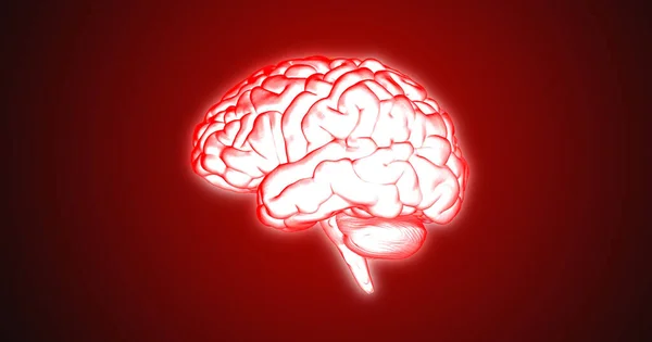 3D rendering illustration red lighting human brain side view isolated and glowing on red background included with clipping path