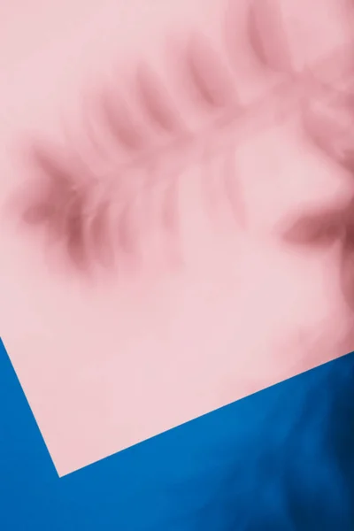 Pembe ve mavi kağıda dökülmüş palmiye yapraklarının soyut arkaplanı. Yaratıcı yaz planı asgari düzeyde. Modern gölge palmiyesi, her amaç için harika bir tasarım. Pudralı pembe arka plan. Tropik