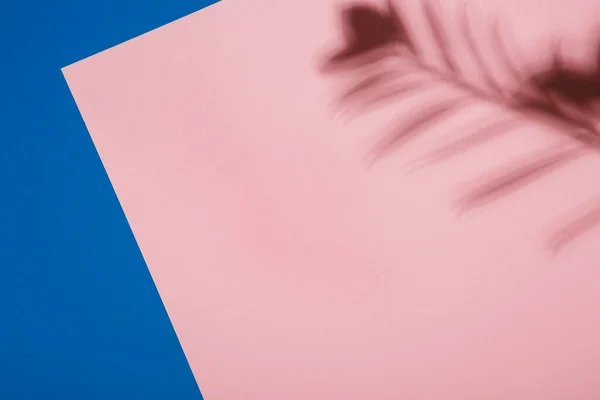 Pembe ve mavi kağıda dökülmüş palmiye yapraklarının soyut arkaplanı. Yaratıcı yaz planı asgari düzeyde. Modern gölge palmiyesi, her amaç için harika bir tasarım. Pudralı pembe arka plan. Tropik