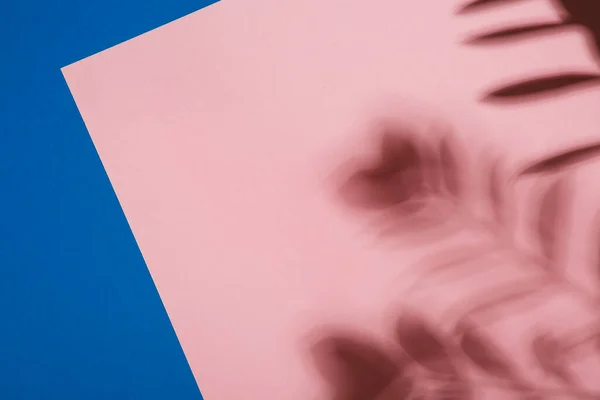 Pembe ve mavi kağıda dökülmüş palmiye yapraklarının soyut arkaplanı. Yaratıcı yaz planı asgari düzeyde. Modern gölge palmiyesi, her amaç için harika bir tasarım. Pudralı pembe arka plan. Tropik