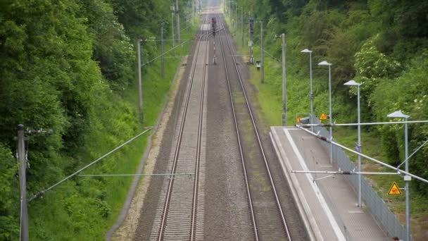 El ferrocarril en Alemania en verano — Vídeo de stock