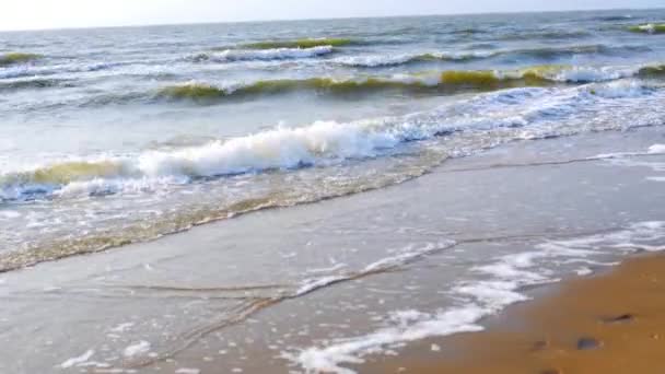 Hollanda Kuzey Denizi üzerinde sörf — Stok video