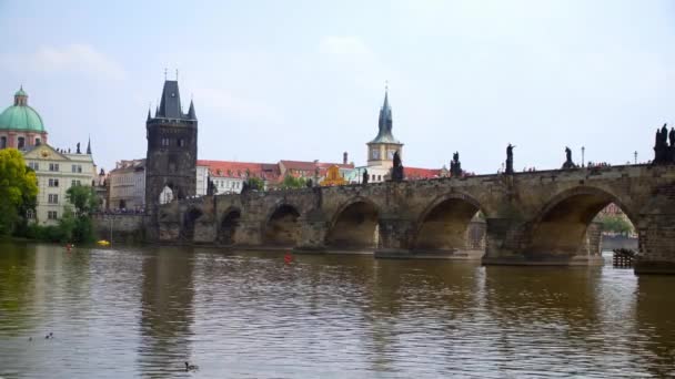 Karlsbron i Prag vacker utsikt — Stockvideo