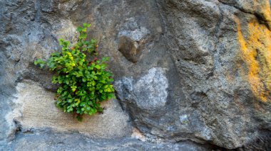 arka plan doku kumtaşı güzel taşlar