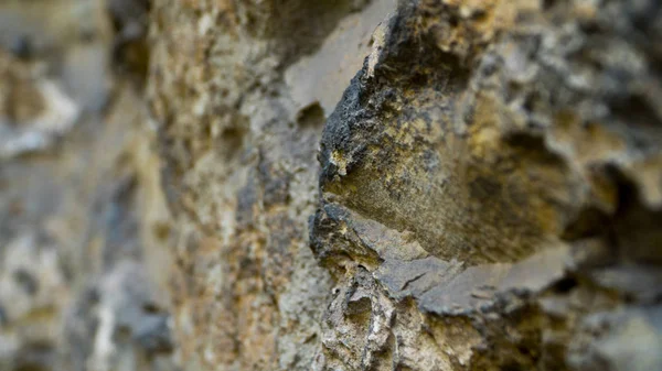 arka plan doku kumtaşı güzel taşlar