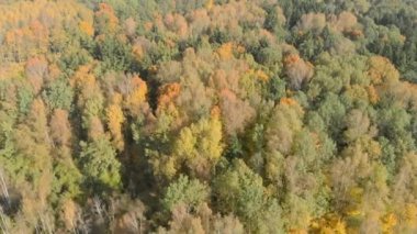 Belarus, Minsk bölgesi sonbahar, havadan görünümü.