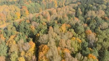 Belarus, Minsk bölgesi sonbahar, havadan görünümü.