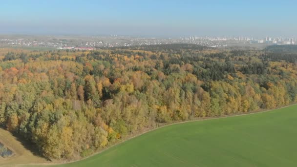 Belarus, Minsk region autumn, aerial view. — Stock Video