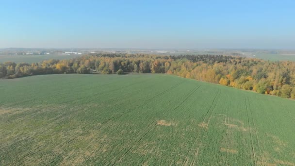 Bielorrússia, região de Minsk Outono, vista aérea . — Vídeo de Stock