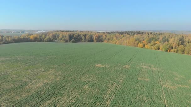Wit-Rusland, Minsk regio herfst, luchtfoto. — Stockvideo