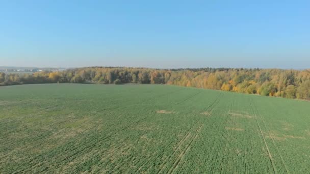 Λευκορωσία, το Μινσκ περιοχή φθινόπωρο, αεροφωτογραφία. — Αρχείο Βίντεο