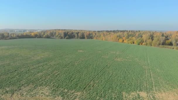 Belarus Minsk Region Autum Aerial View — Stock Video