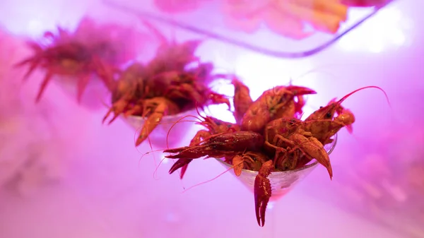 lüks Restoran kapalı açık büfe gıda catering