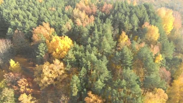 Aerial photography: Belarus autumn views — Stock Video