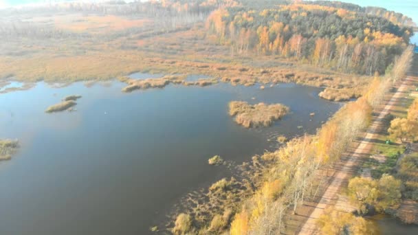 Aerial photography: Belarus autumn views — Stock Video