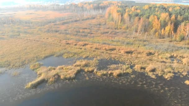Аэрофотосъемка: Осенние виды Беларуси — стоковое видео