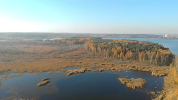 空中摄影: 白俄罗斯秋季景观 — 图库视频影像