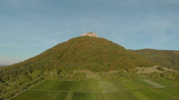 Germany ancient castle on the mountain. Aerial view. — Stock Video