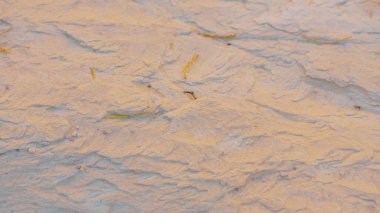 Mısır deseni güneşli havada renkli kanyon