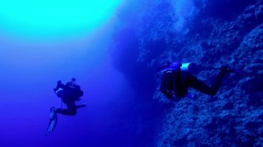 Mısır Dahab Kızıldeniz dalış