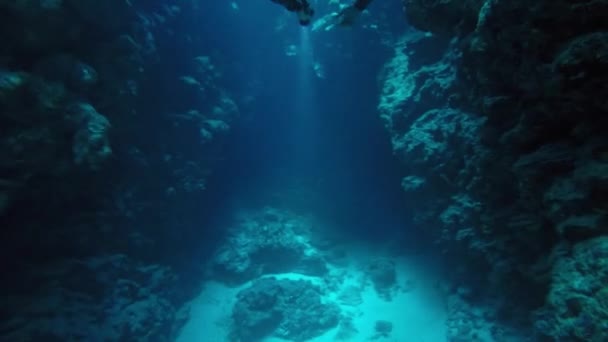 Dahab Egypt potápění v Rudém moři — Stock video