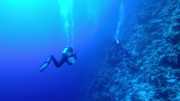 Egipto Dahab buceo en el mar rojo — Vídeo de stock