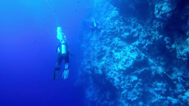 Egipto Dahab buceo en el mar rojo — Vídeos de Stock