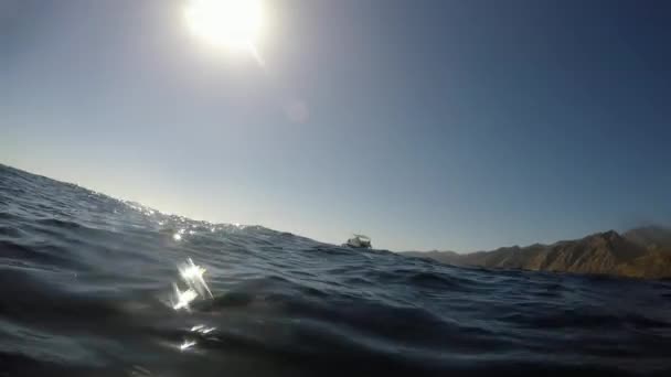 Прыжки в воду в Красном море — стоковое видео