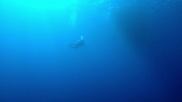 Egipt Dahab nurkowanie w Morzu Czerwonym — Wideo stockowe