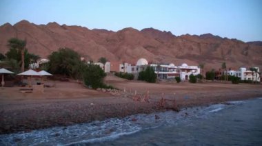 Mısır Dahab palmiye ağaçları ve deniz