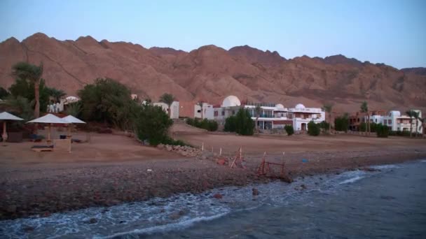 Egypt Dahab palm trees and sea — Stock Video