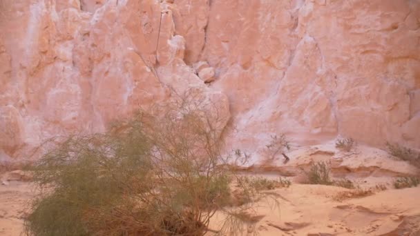 Mısır Afrika Çöl Renkli Kanyon — Stok video