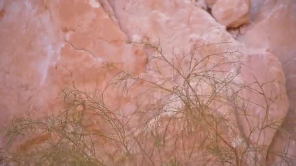 Egypte Afrika woestijn gekleurde canyon — Stockvideo