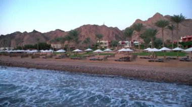 Mısır Dahab palmiye ağaçları ve deniz