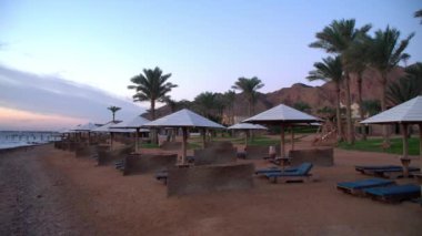 Mısır Dahab palmiye ağaçları ve deniz