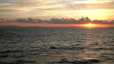 Mısır şafak Kızıldeniz