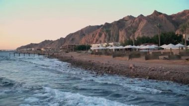 Mısır Dahab palmiye ağaçları ve deniz