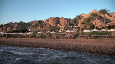 Mısır Dahab palmiye ağaçları ve deniz
