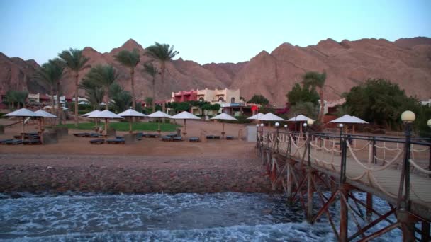 Egypten Dahab Palmer Och Havet — Stockvideo