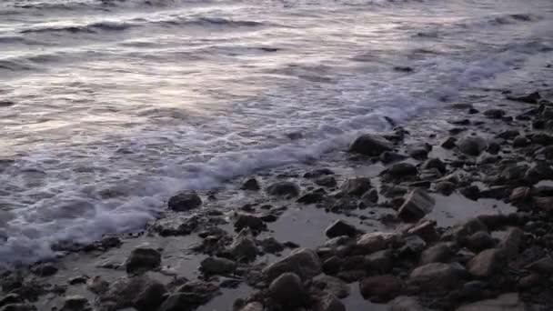 Египетский серфинг на Красном море — стоковое видео