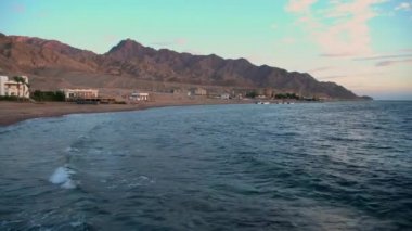 Mısır Dahab palmiye ağaçları ve deniz