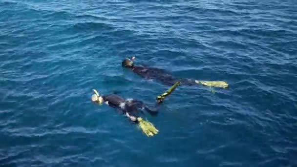 Egitto snorkelers in acqua — Video Stock