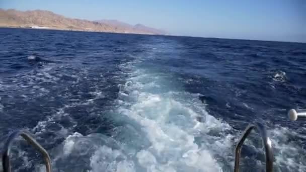 Mısır gemi görünümünden — Stok video