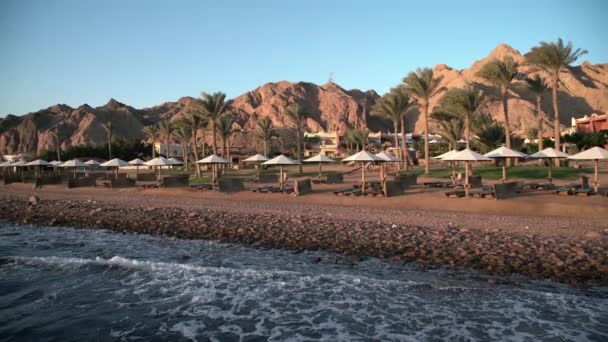 Egypte Dahab palmbomen en de zee — Stockvideo