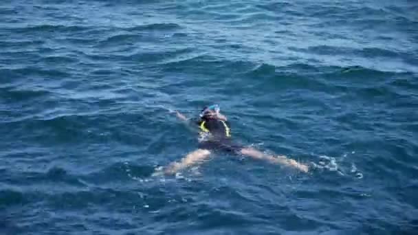 Egypt Snorkelers Water — Stock Video