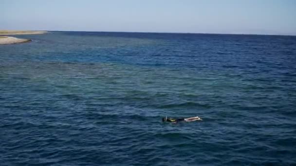 Αίγυπτος snorkelers στο νερό — Αρχείο Βίντεο