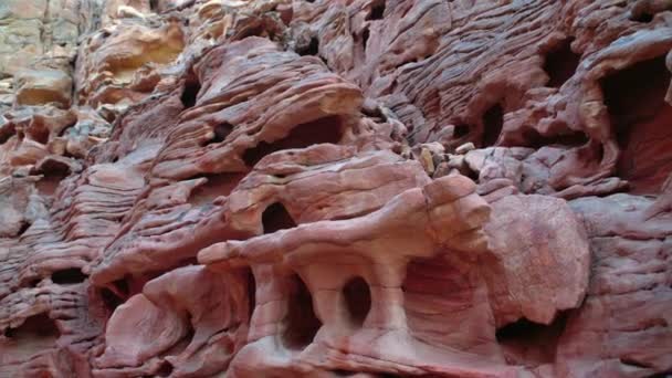 Egypten Afrika öknen färgade canyon — Stockvideo