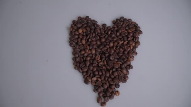 Coffee beans are collected in the shape of a heart on a white background. — Stock Video