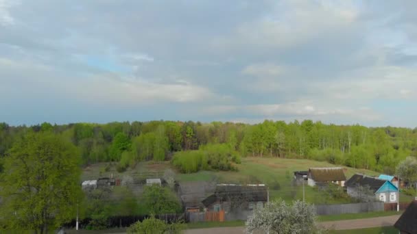 ベラルーシ航空写真の森林とフィールド — ストック動画
