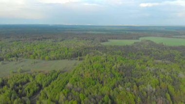 Beyaz Rusya hava fotoğrafçılığı ormanları ve alanları